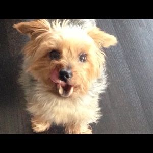 Meet your Posher, Cathy